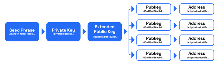 The seed phrase generation followed by private and public keys and address schema image